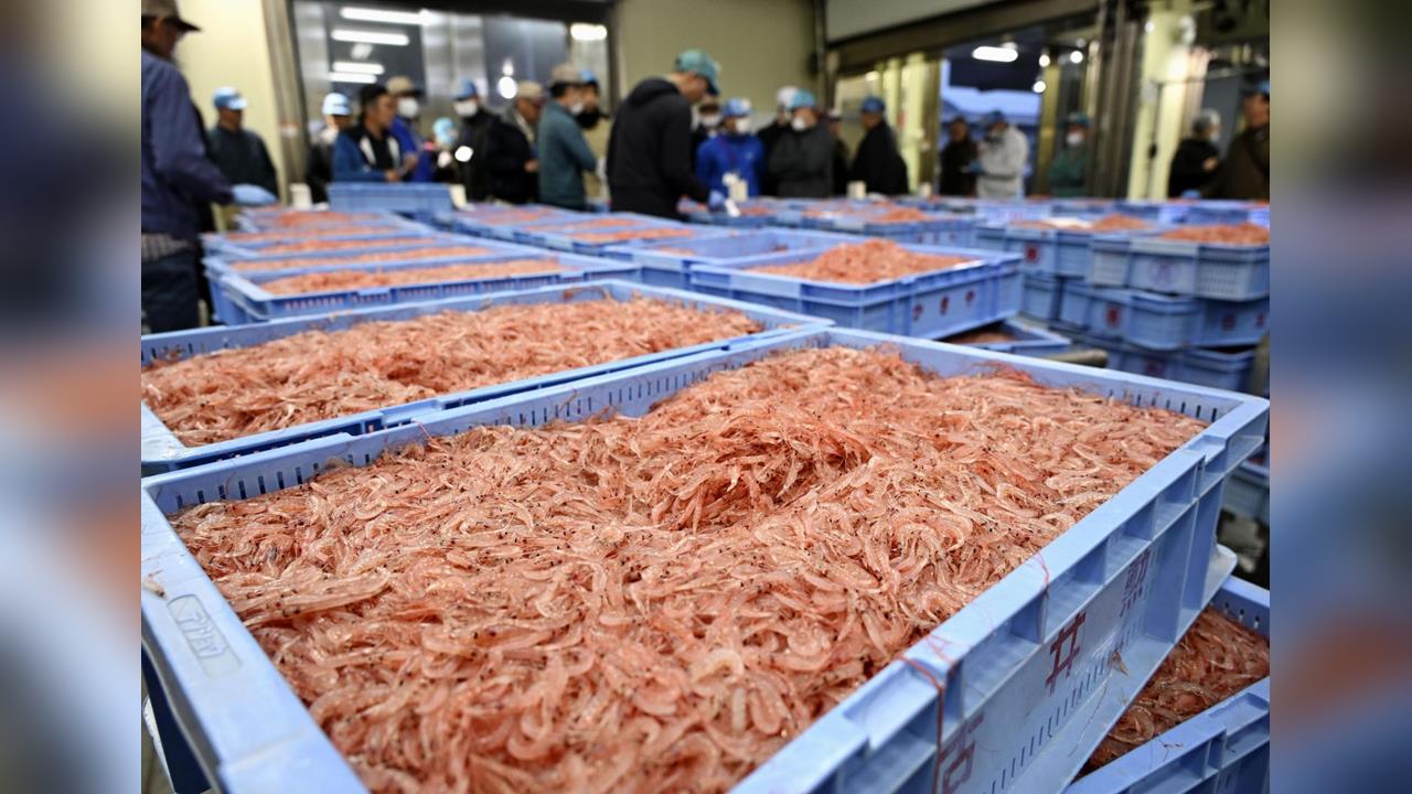 缺油！　日本多管齊下找替代方案　擬向美、中亞進口原油