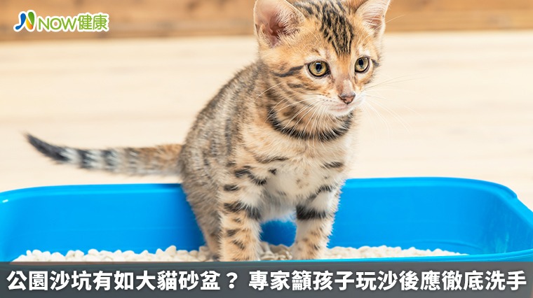 公園沙坑有如大貓砂盆？專家籲孩子玩沙後應徹底洗手