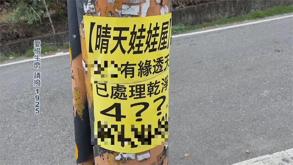 屏東售「晴天娃娃屋」　內行人揭真相水很深