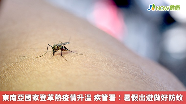 東南亞國家登革熱疫情升溫　疾管署：暑假出遊做好防蚊
