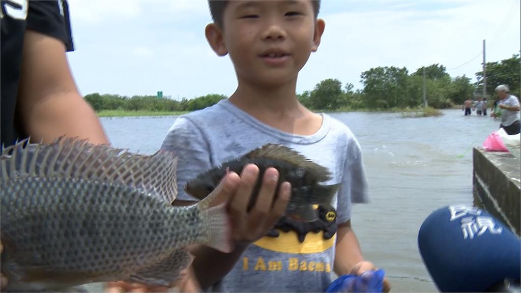 兩樣情！魚塭流光養殖戶心痛 民眾捕魚加菜