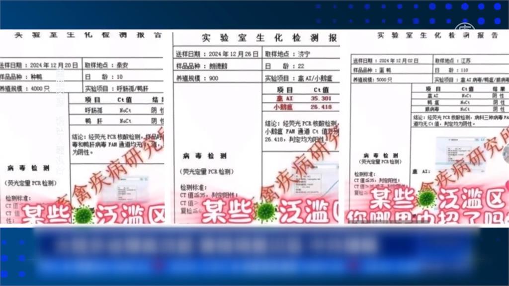 中國多省爆發禽流感官方隱匿！　病雞鴨鵝流入市場