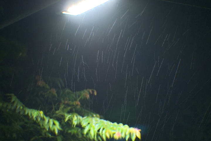 輕颱卡努形成 週五週六防致災降雨