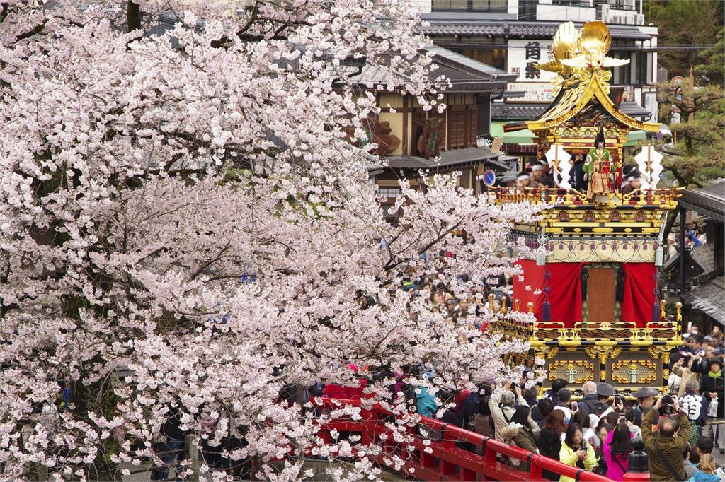日本春日高山祭神轎齊出動　「櫻花祭」祈求五穀豐收