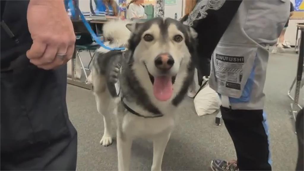 治療犬是童書主角　擬人化警犬心情陪伴孩童成長