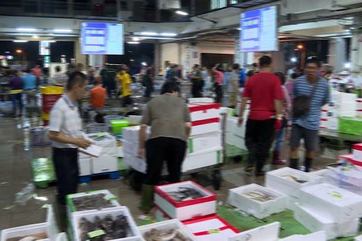 這個魚市場超賺錢!原因竟是電腦化?