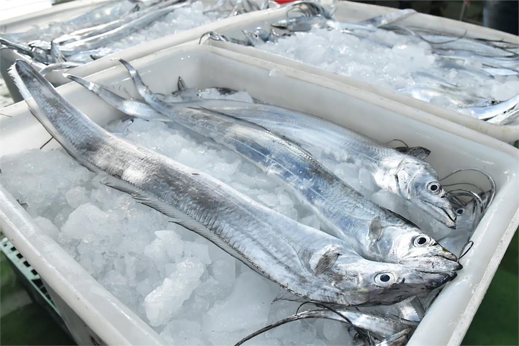 中國今起恢復冰鮮白帶魚、凍竹莢魚進口　農委會：樂見符合國際規範