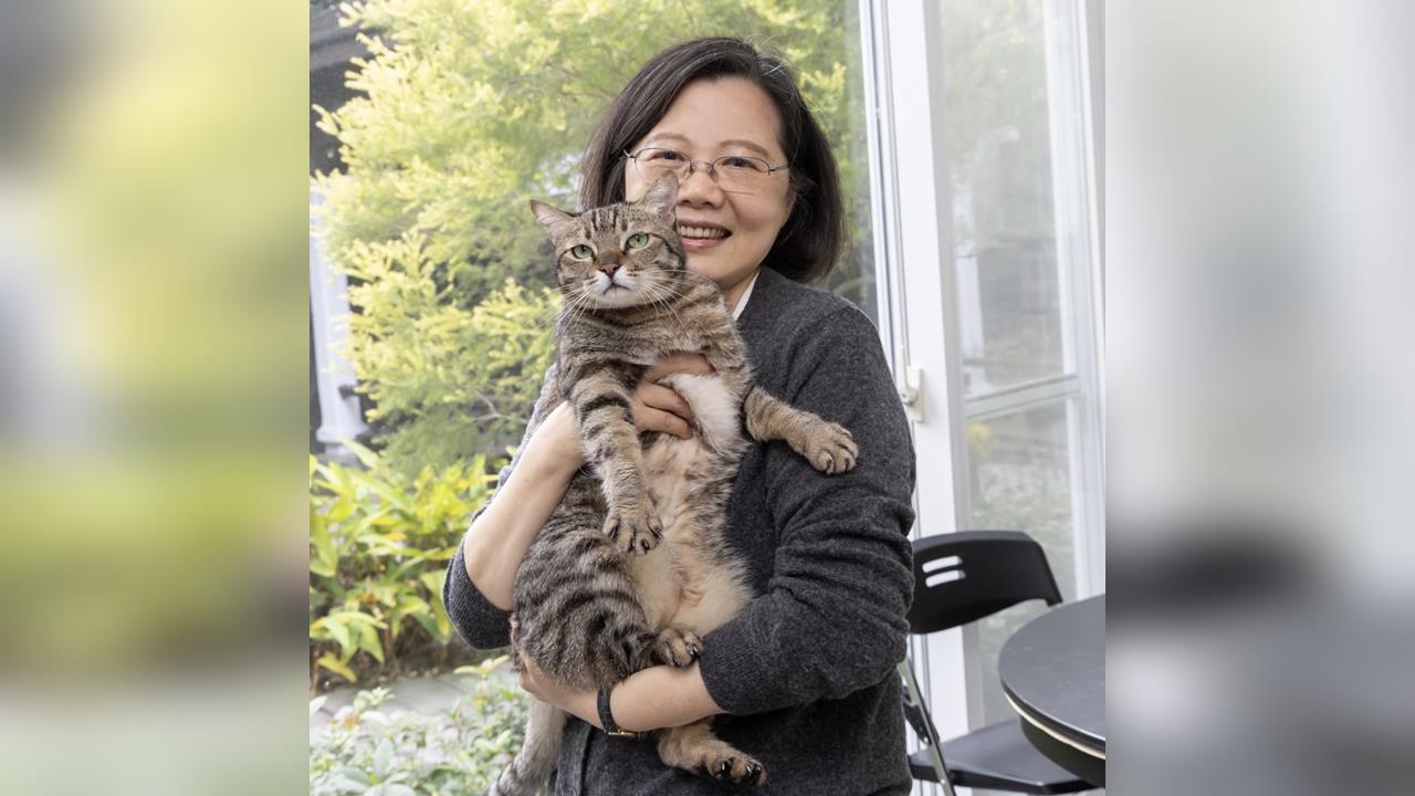 快新聞／蔡英文「國際擁抱日」曬貓曝心情　網笑：總統來也一樣