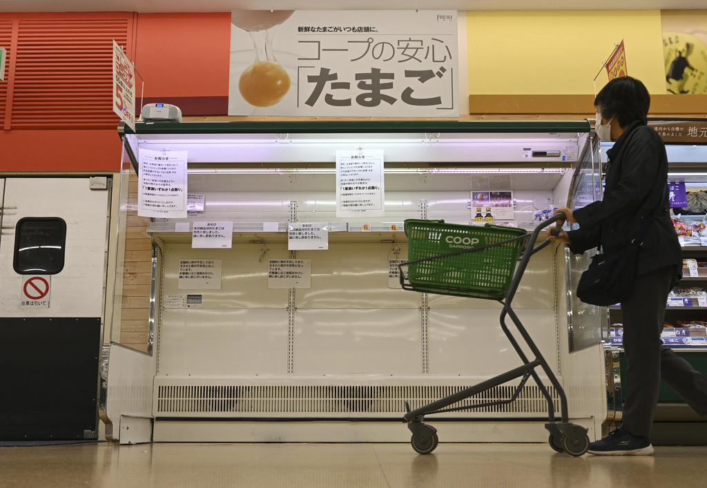 日本蛋荒！向巴西進口雞蛋「暴增萬倍」　關鍵原因曝光　