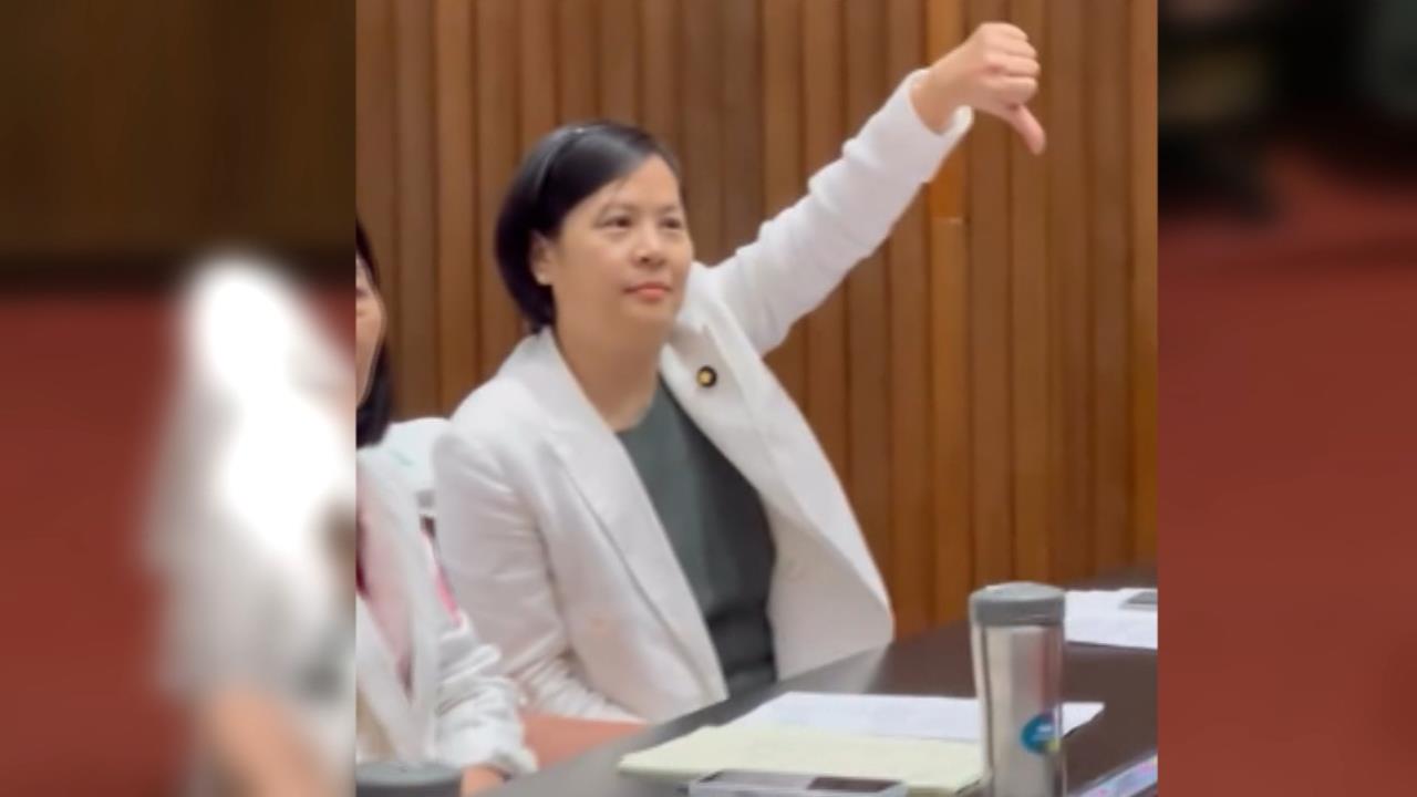 雙重國籍爭議綠委嗆解職　李貞秀囂張比「倒讚」