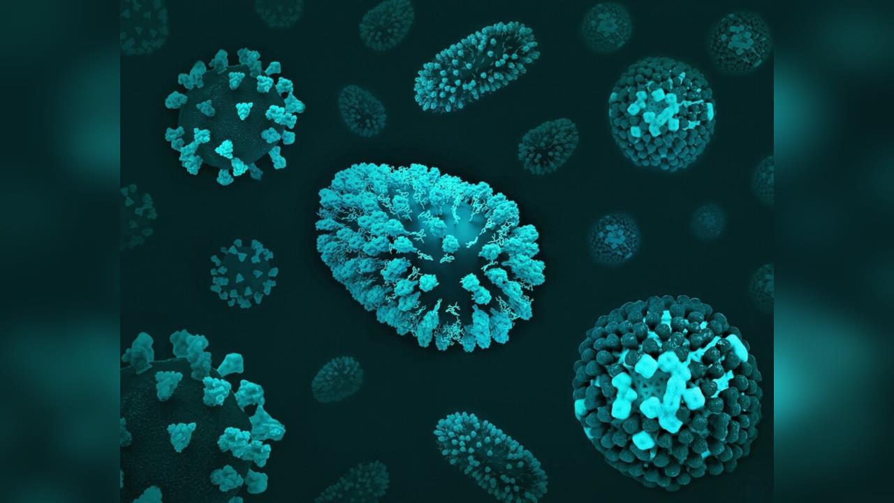 快新聞／致死率達75%！疾管署正式列「立百病毒」為法定傳染病　通報條件曝光了