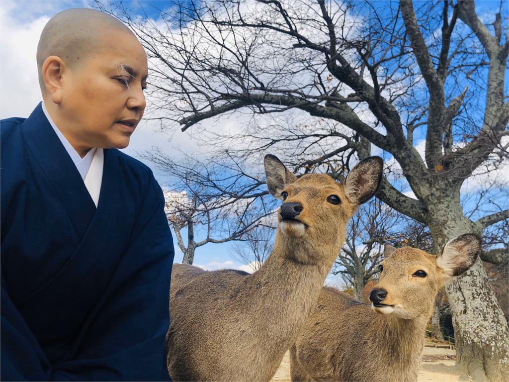 唐美雲日本拍戲變身「動物磁鐵」 奈良鹿搶鏡搗亂進度