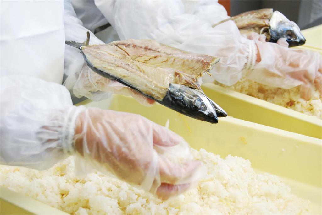 日本冬季美食　福井縣醃製鯖魚壽司為伴手禮好選擇