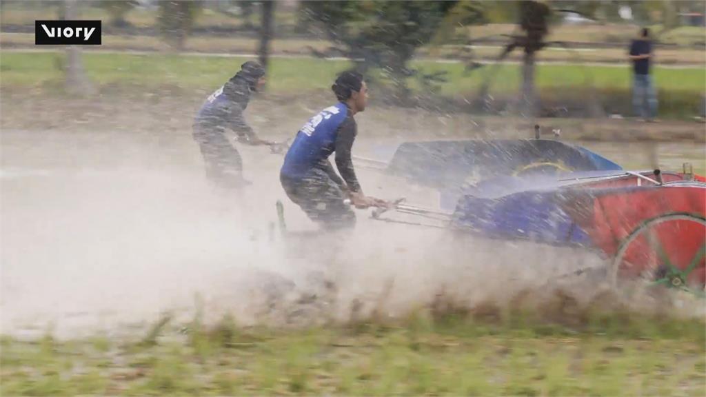 來不了快上車！泰國農夫「超粗麒麟臂」拖拉機狂飆賽車激戰畫面曝