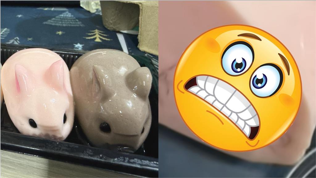 噁⋯大甲媽攤販買兔子布丁「咬到毛」!實體照曝光狂作噁 衛生局要查了