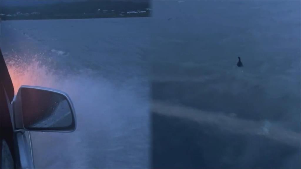 海葵豪雨淹道路！伯朗大道成「伯朗大海」　畫面曝網笑：以為在開船