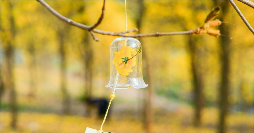 12生肖本周運勢　屬牛事業運奪冠「氣勢最旺」