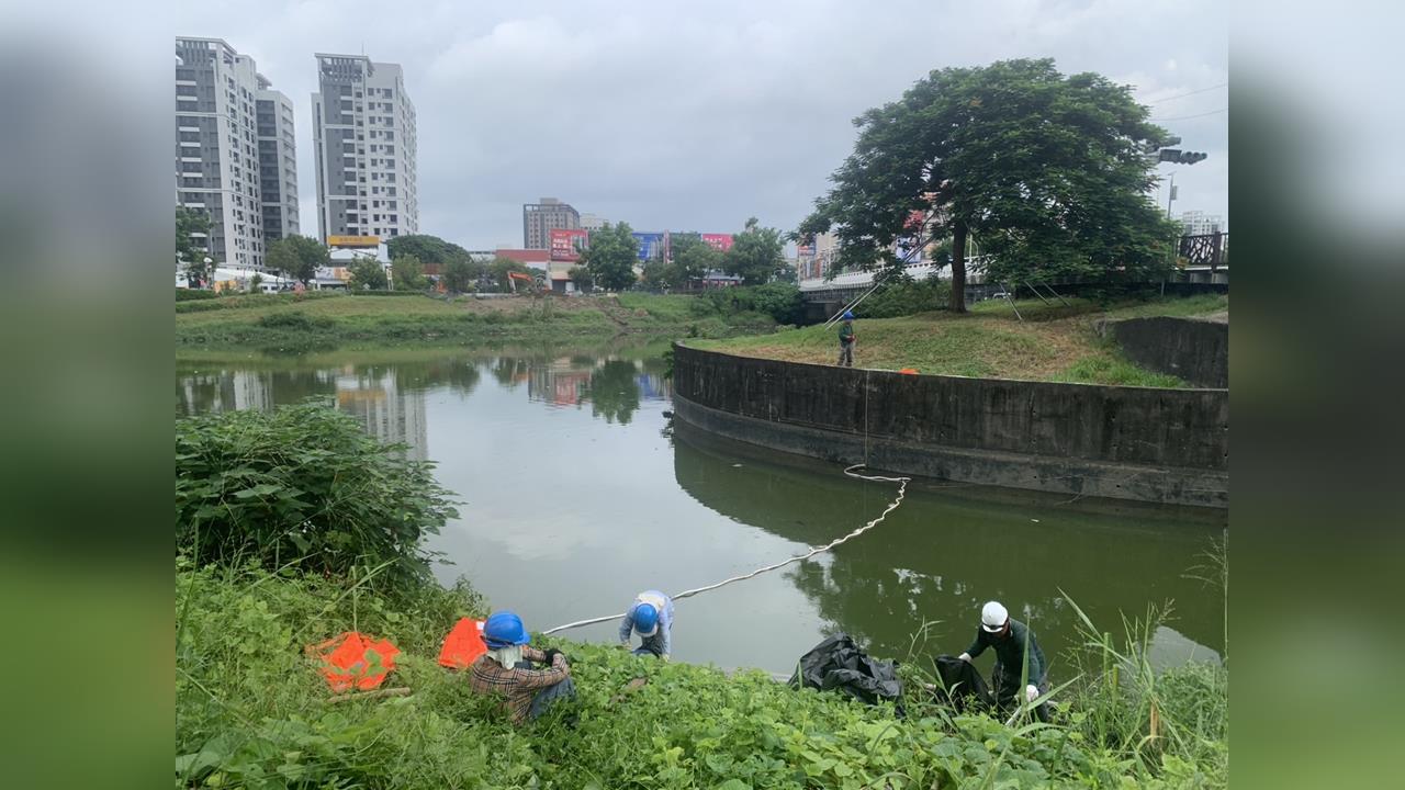 快新聞／高雄後勁溪魚群暴斃翻白肚！水利局連夜打撈　致命原因曝光