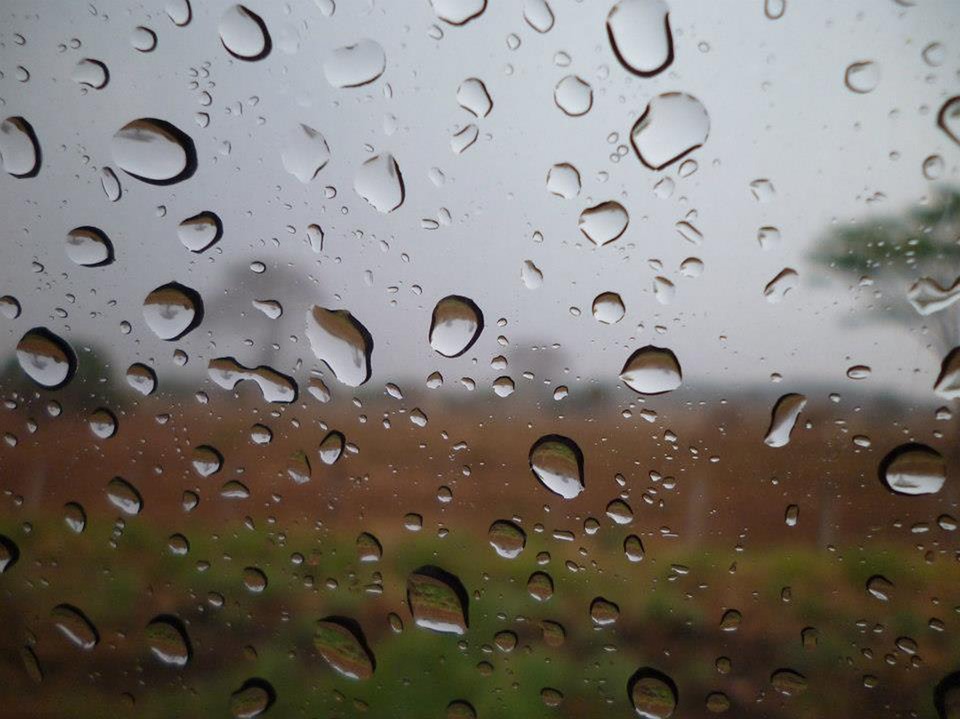[2019/10/31]東北風影響！北台灣整天涼 宜花留意豪大雨