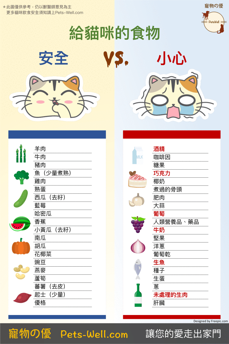 對貓咪而言 安全的食物 Vs. 需要小心的食物