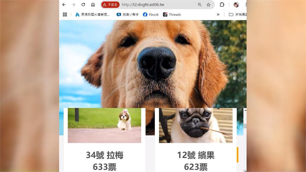 詐騙手法再更新！　幫寵物投票竟帳號遭盜用損失十萬元