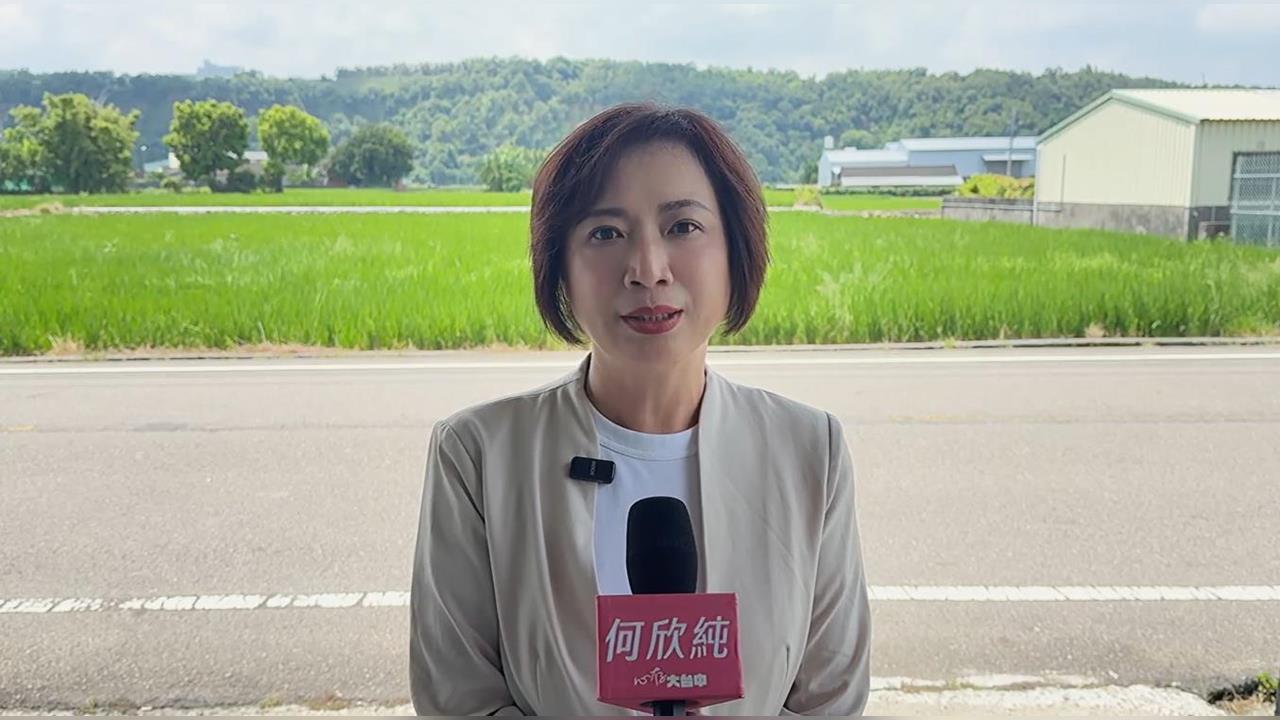 快新聞／台中起風了！何欣純民調急起直追「直逼翻盤」　本人堅定回應