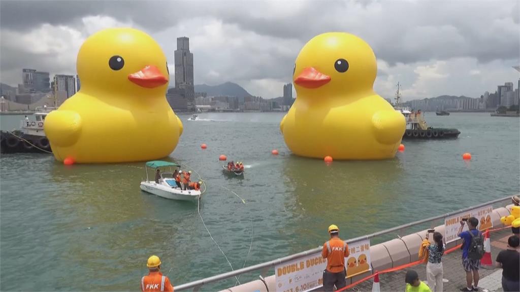 黃色小鴨回來了！　帶上同伴現身香港維多利亞港「好事成雙」