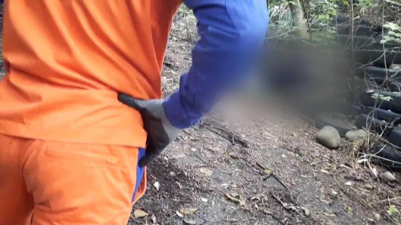 7旬翁上山採竹筍失聯2天　尋獲時呈「仰躺姿」身亡