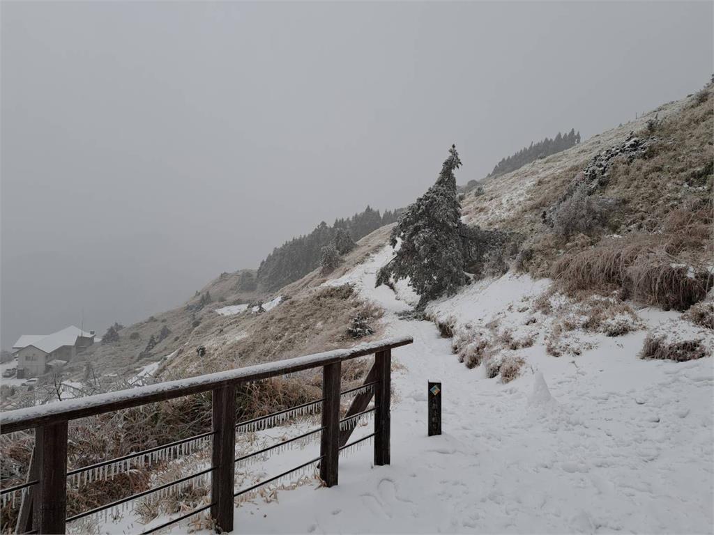 快新聞／合歡山大雪「絕美銀白世界曝光」　民眾追雪嗨喊：值回票價