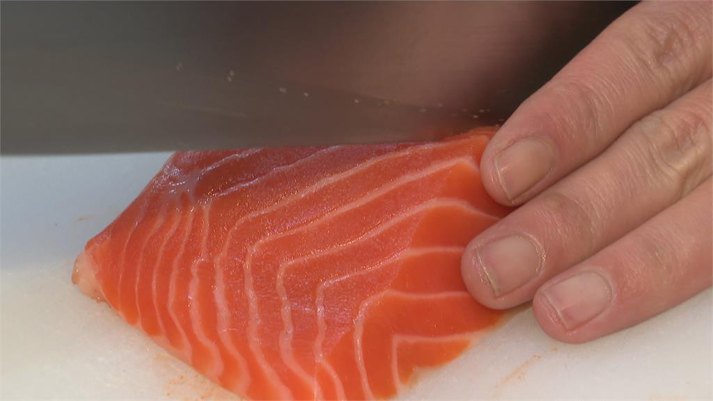俄烏開戰釀鮭魚缺貨潮　連鎖壽司開首槍停售