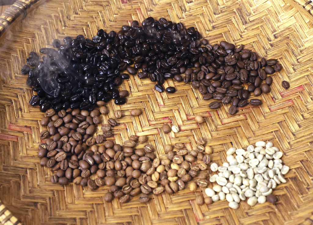 沖繩氣候條件與台灣類似挑戰種咖啡豆　舉辦交流會向台灣咖啡農取經
