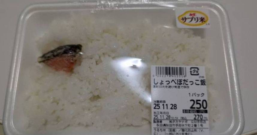 秋田名物便當「鮭魚拇指大」整盒全白飯 他開吃20分鐘傻了:米不夠吃