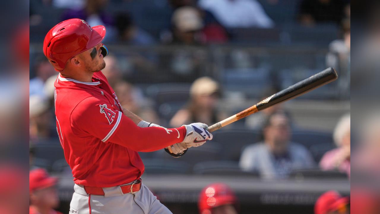 MLB(影)／這隻鱒魚天天吃雞！「神鱒」連4天洋基主場炸裂成史上第一人