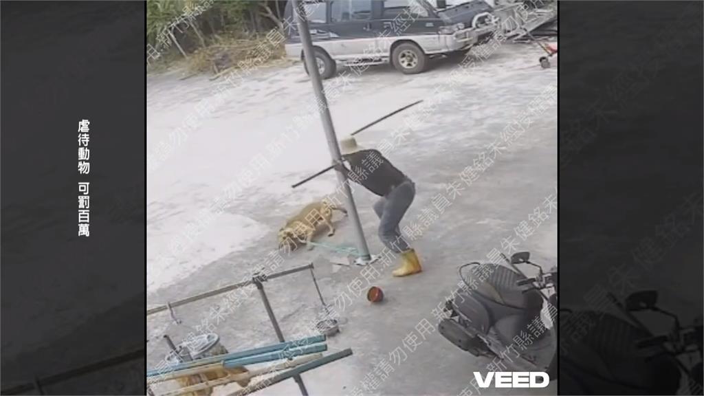 惡劣！男持棍棒打毛小孩虐狗　因懷疑西瓜遭狗踩壞