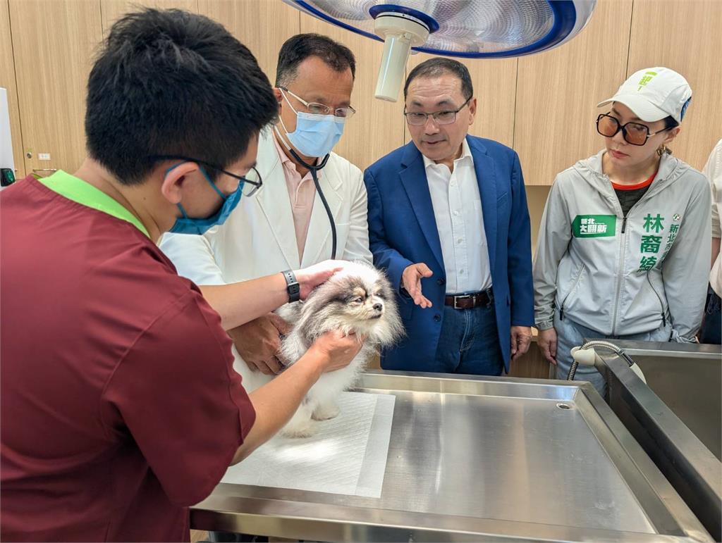 快新聞／貓狗住豪宅！「全國最夢幻動物之家」榮獲兩大獎　園區設計全曝光