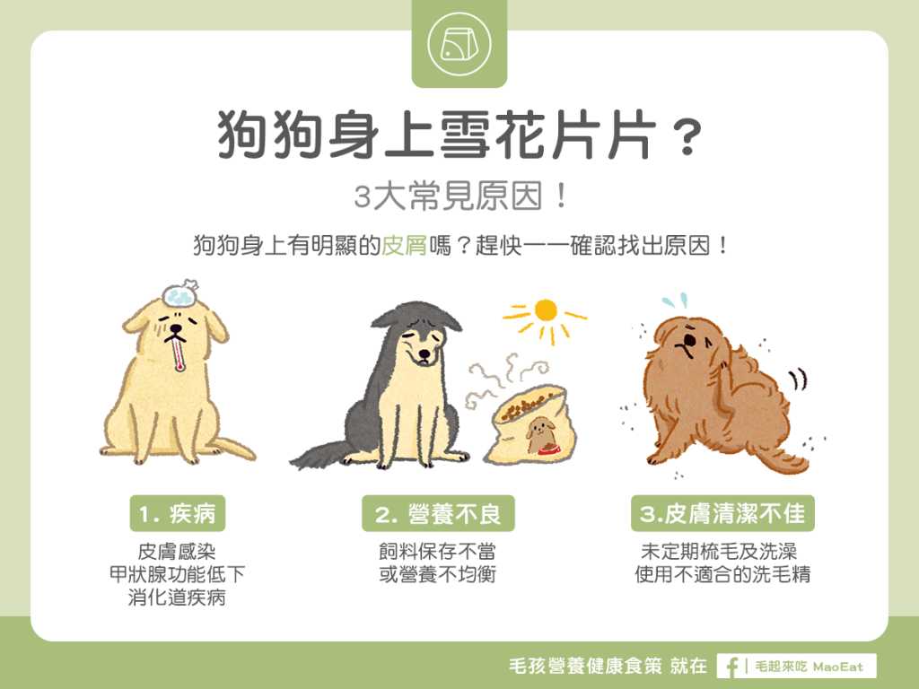 【汪汪康健】狗狗身上雪花片片？3大常見原因！