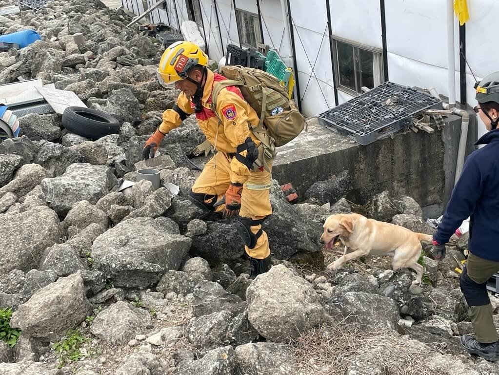 精進搜救能力　北市7搜救犬獲國際瓦礫搜索認證