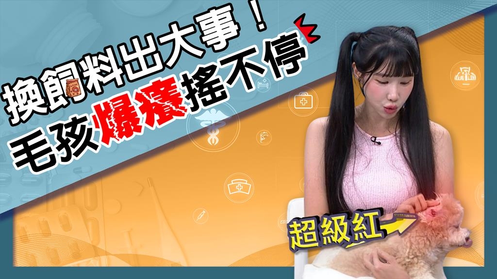 筠熹愛犬嚴重過敏掛急診!《醫學大聯盟》籲魚油、益生菌需適度補充