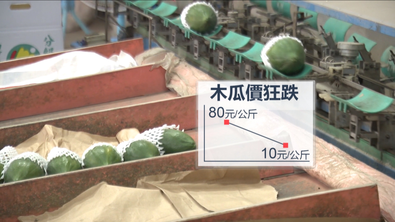 木瓜價格直直落 一公斤跌剩10元