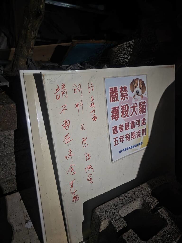 台中大里流浪貓疑遭毒殺　中市府查扣證物追查