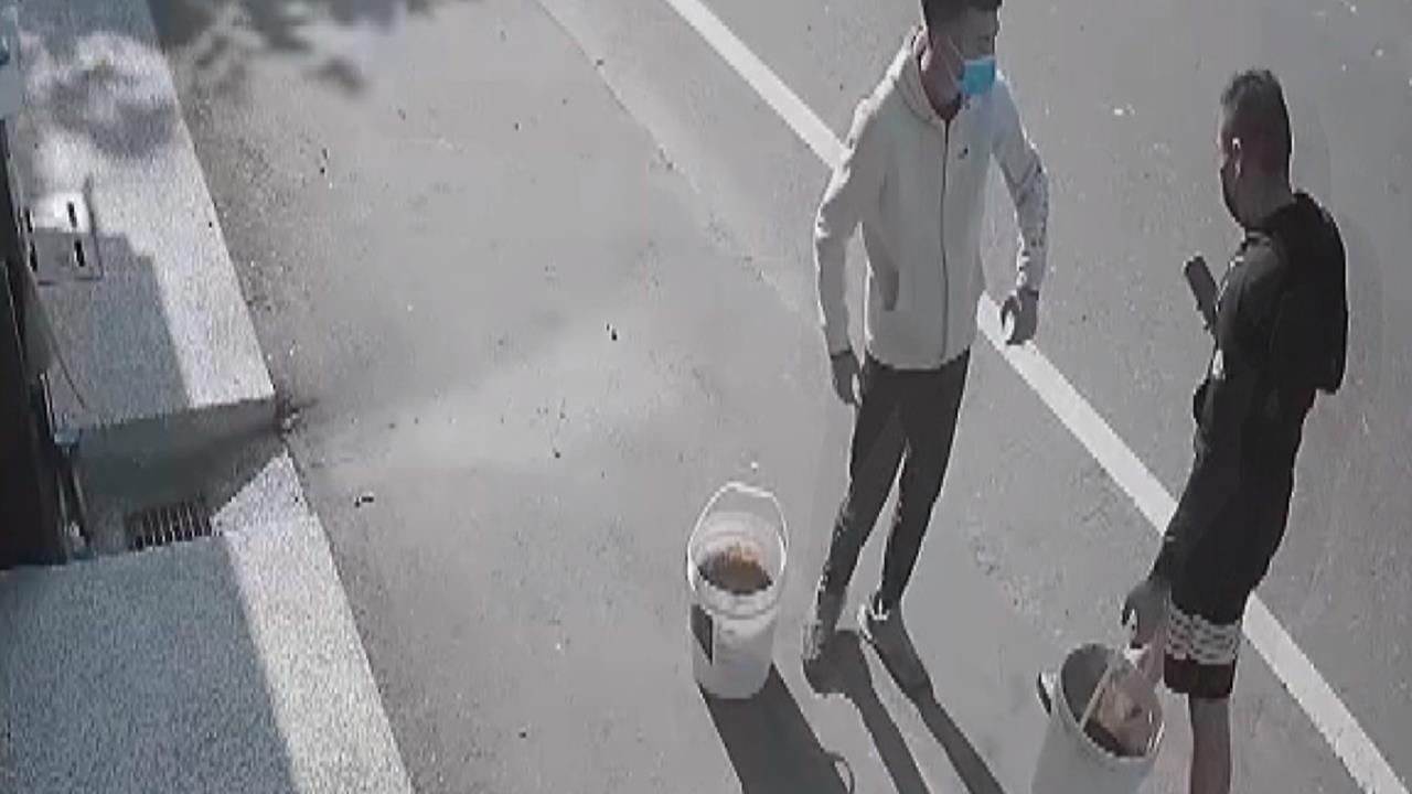 彰化埔鹽3男闖客廳潑豬穢物　前綠營黨員質疑選舉暴力