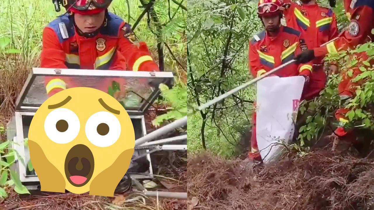 差一步恐遭滅口！消防員生擒巨蛇⋯掀開枯葉「藏37顆毒胎」眾人頭皮發麻