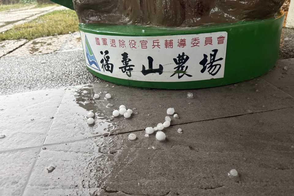 快新聞／全台「陳雷公」　福壽山農場降超大冰雹！羅東暴雨狂襲