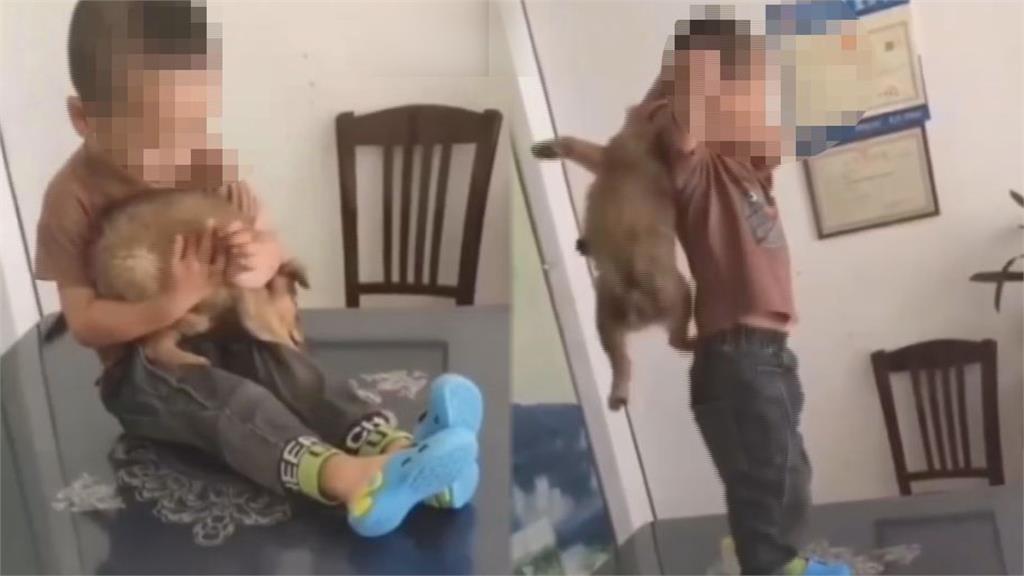 幼犬慘遭掐脖重摔！3歲男童虐狗家長竟還錄影　網罵：老了摔父母