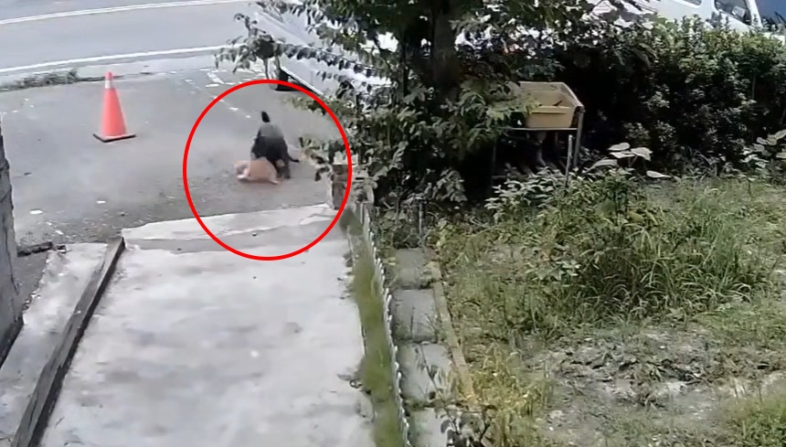 快新聞／飼主放任愛犬狩獵！　花蓮惡狗咬死貓兇殘畫面曝光
