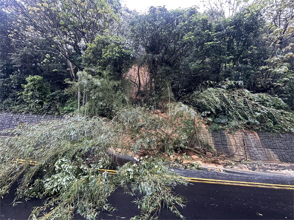 連夜大雨！龜山大坑路土石滑落、路樹橫躺 採單線雙向通車
