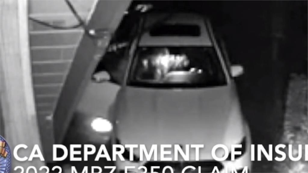 假扮熊攻擊愛車! 美國4車主詐領保險金被逮