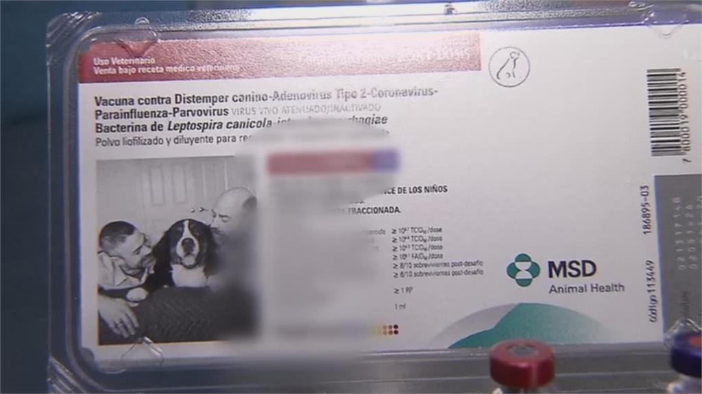 幫人打狗疫苗防新冠病毒 智利2獸醫挨罰