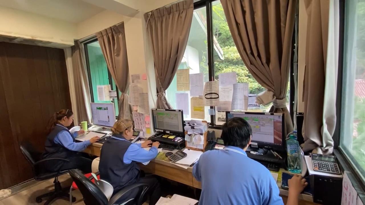 武陵櫻花季訂房開搶 不到3分鐘銷售一空