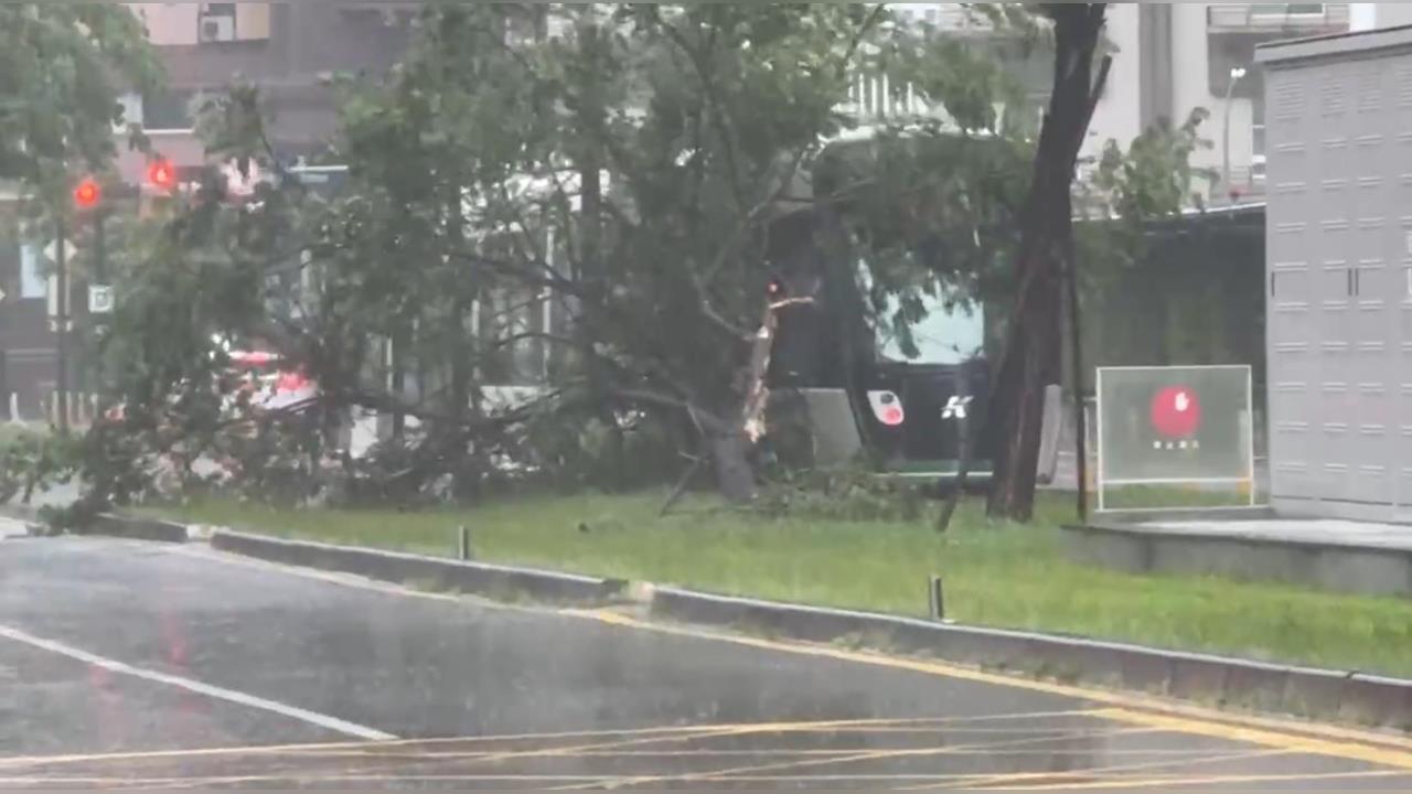 快新聞／高雄雨勢太猛？輕軌列車「慘遭路樹壓到」　一度動彈不得畫面曝